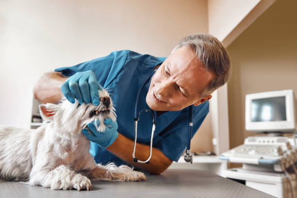 Best Knocked-Out Tooth (Avulsed Tooth) Treatment in Skidmore, TX